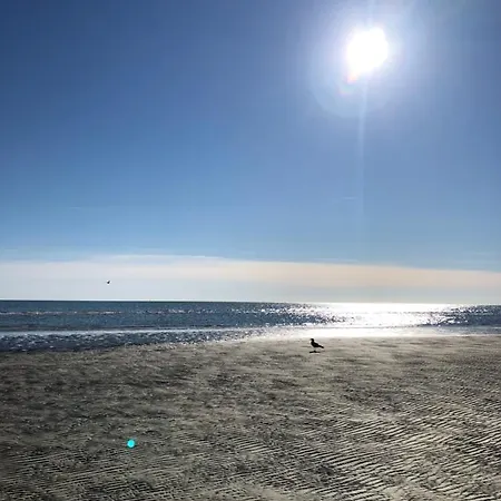 Vista Mare Apartman *